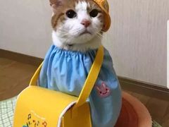 -星巴克臻选(青岛麦凯乐分店)
