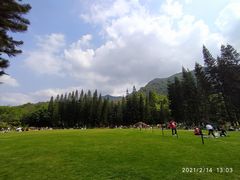 -深圳仙湖植物园