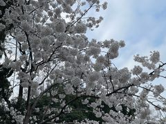 -中山公园
