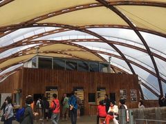 -怀托摩萤火虫洞