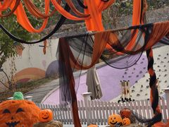 -卓悦童国际幼儿园