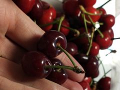 -家辉生鲜超市(东五路店)