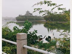 -莱西月湖公园