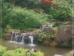 -大围山国家森林公园