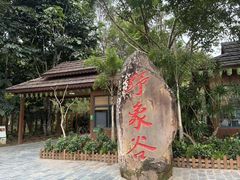 -野象谷景区