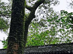 -天一阁博物院