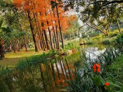 -人民公园(罗湖区)