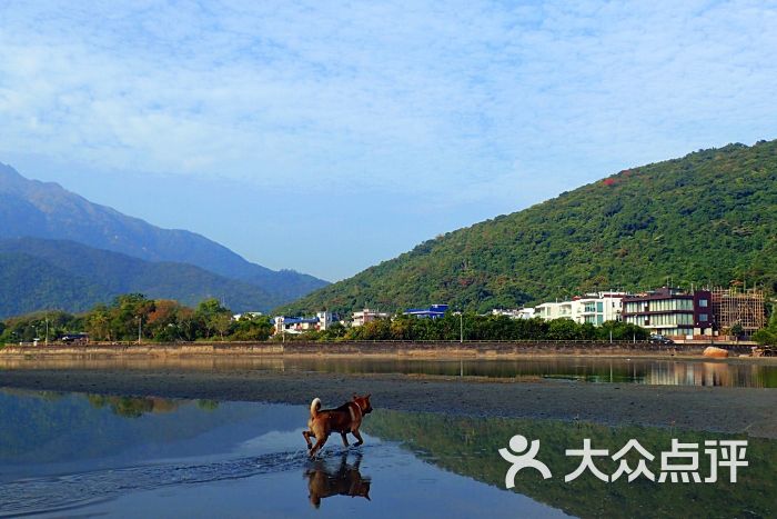 贝澳泳滩图片 - 第8张