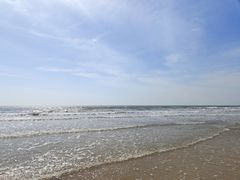 -日照海滨国家森林公园