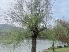 -穹窿山景区