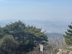 -鲁山国家森林公园