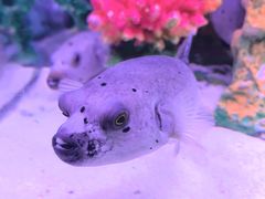 -秦皇岛新澳海底世界