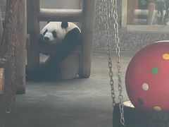 -西安秦岭野生动物园