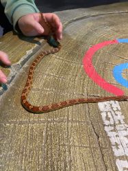 -酷嗒动物文化乐园(cutezoo西溪乐天城店)