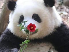 -哈尔滨医科大学附属第一医院(南岗院区)