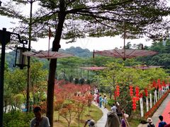 -广州市帽峰山景区