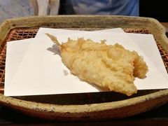 沙鲇-是山居