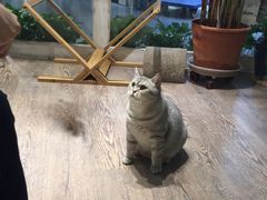 -小时光咖啡馆(开森度假森林店)