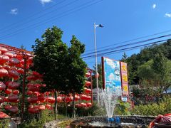 -龙福源密云水库灶台鱼