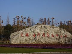 -上海海湾国家森林公园