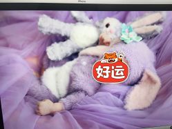 -西瓜庄园儿童摄影