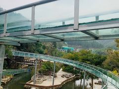 -广东天露山旅游度假区