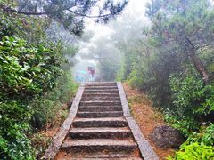 -玉苍山国家森林公园