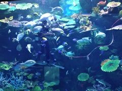 -暹罗海洋世界