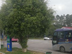 -石湾服务区-停车场