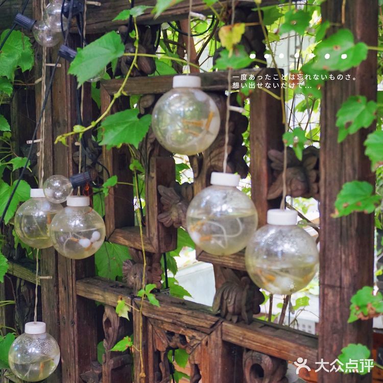 四眼井上🉐️玻璃房子🏠值得吹爆❗️