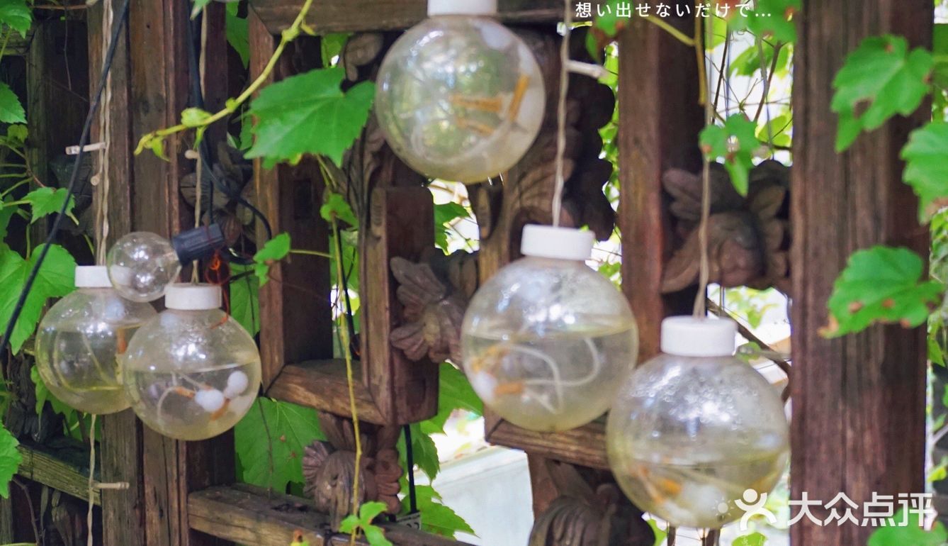 四眼井上🉐️玻璃房子🏠值得吹爆❗️