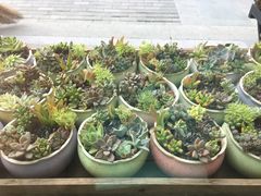 -杭州街角花屋花店(闻堰店)