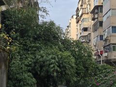 -玉滋補