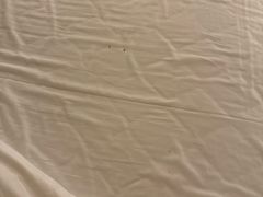 -全季酒店(广州越秀公园店)