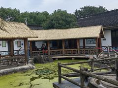 -莲花岛景区