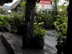 -自然餐厅(Phuket)