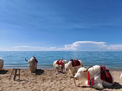 -青海湖国家重点风景名胜区
