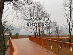 -桂溪生态公园
