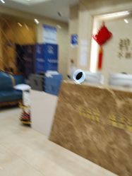 -碧莲盛·不剃发植发