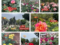 -人民公园(罗湖区)