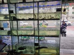 -海之鲜大排档(东山海鲜金銮湾店)