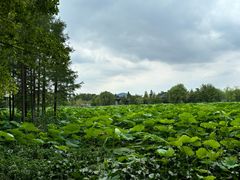 -云龙湖旅游景区