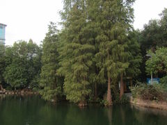 -桂林市榕杉湖景区