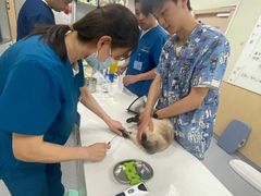 -康成宠物医院24H·CT·核磁共振