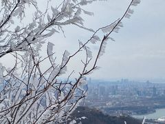 -紫金山山顶公园