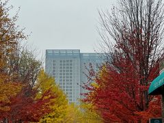 -辽宁大学(崇山校区)