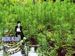 -箱美术馆私房菜(水晶郦城店)