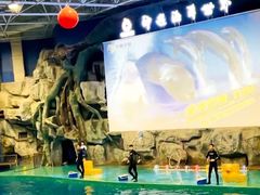 -威海华夏城景区