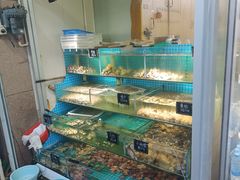 -北戴河庆山饭店·海鲜砂锅粥(北戴河黑石路店)