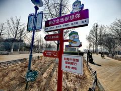 -大兴滨河森林公园